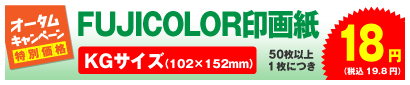 FUJICOLORデジカメプリント KGサイズ 50枚以上、1枚につき 16円