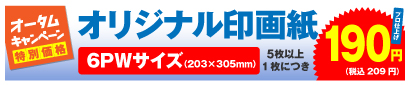 高品質印画紙デジカメプリント 6PWサイズ 5枚以上、1枚につき 190円